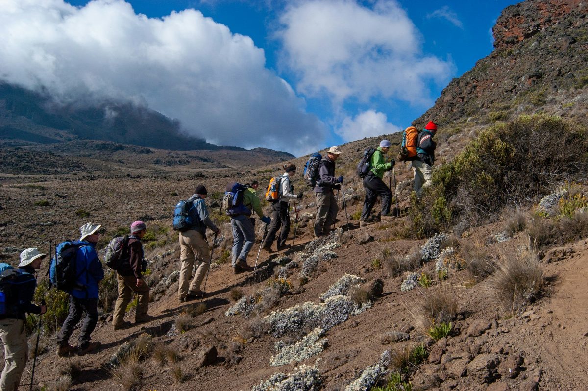 A line of trekkers walking a rocky ridge path high on Kilimanjaro