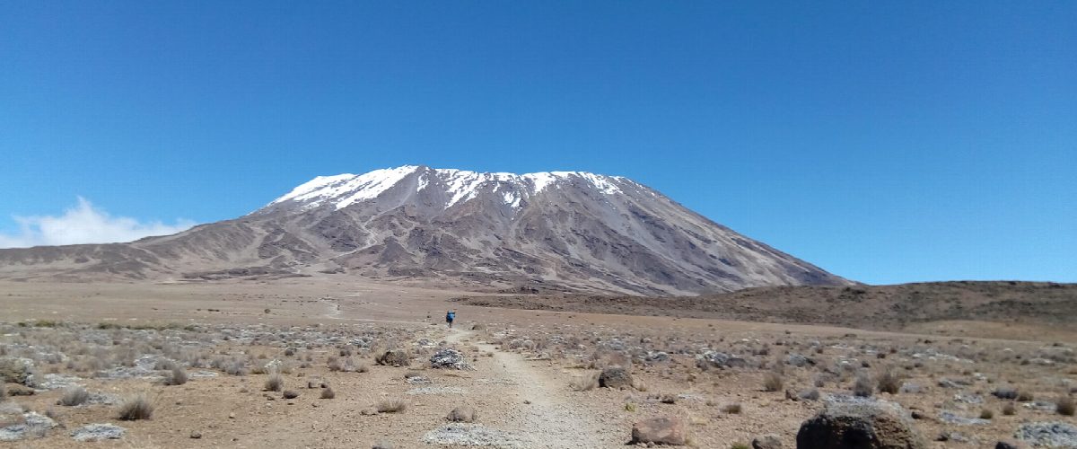 The snow-capped cone of Kilimanjaro rising above dry plains, with a single figure walking a track in the foreground